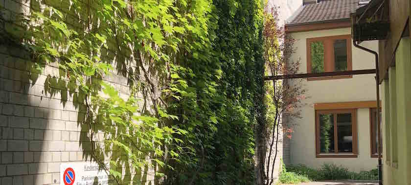 Hof Rebgasse 35 Hof Rebgasse 35